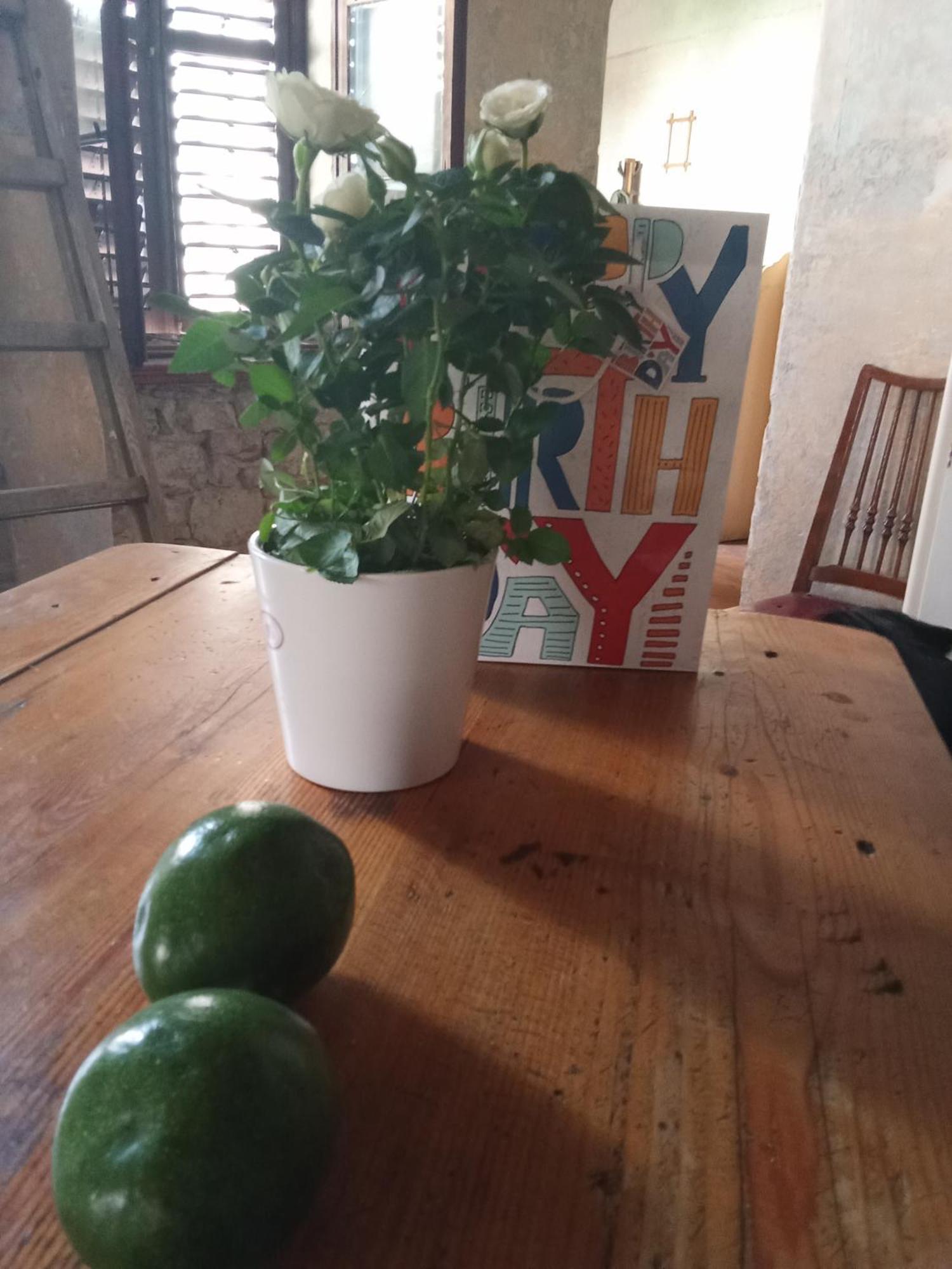 Apartment Sibenik Johnny'S Place Ngoại thất bức ảnh